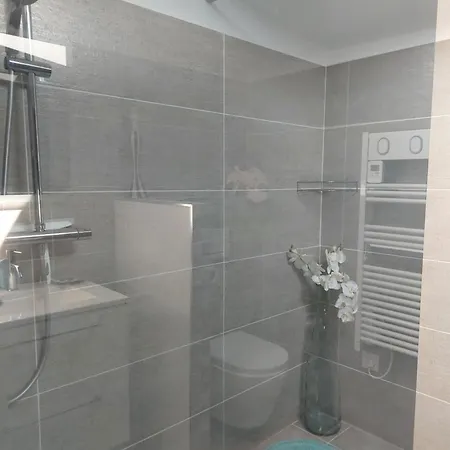 公寓 Bourg - Chez Perli 比斯卡罗斯